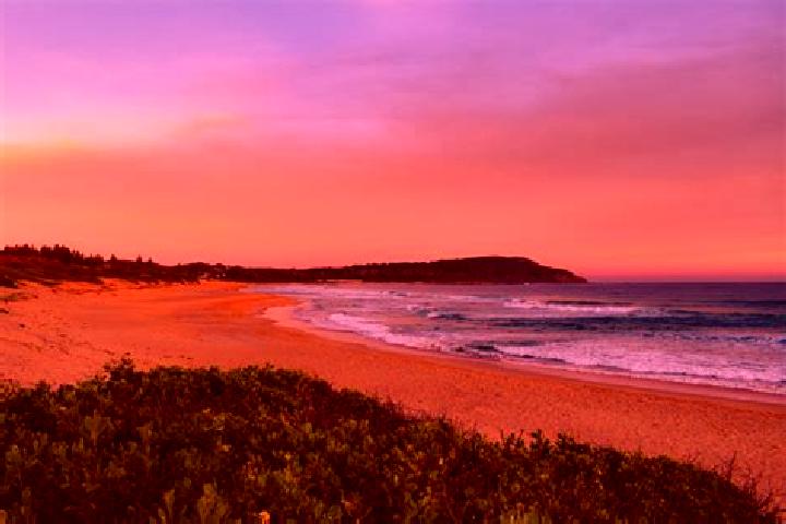 Sage, 29 — Escort in Shelly Beach, Australia