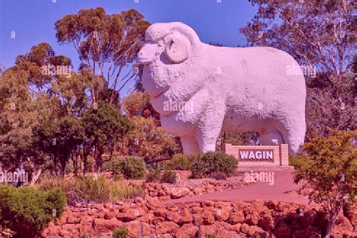 Sage, 29 — Escort in Wagin, Australia