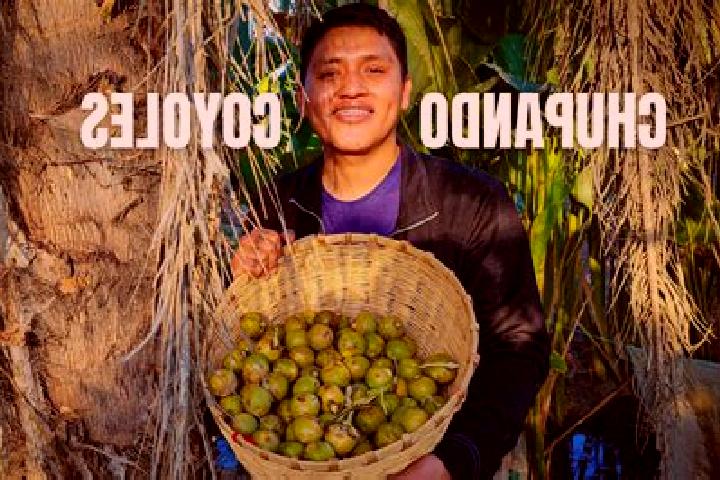 Sage, 30 — Escort in Coyoles Central, Honduras