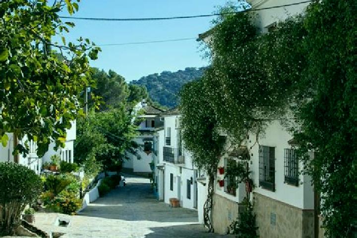 Sage, 30 — Escort in Montecorto, Spain