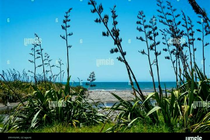 Sage, 30 — Escort in Paekakariki, New Zealand