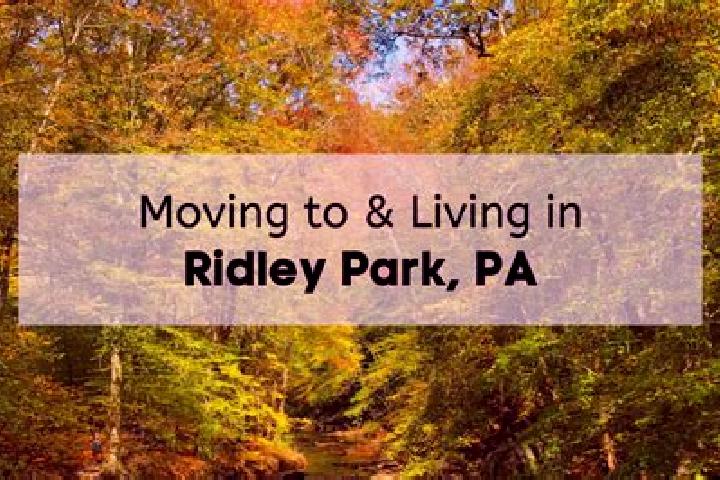 Sage, 30 — Escort in Ridley Park, United States