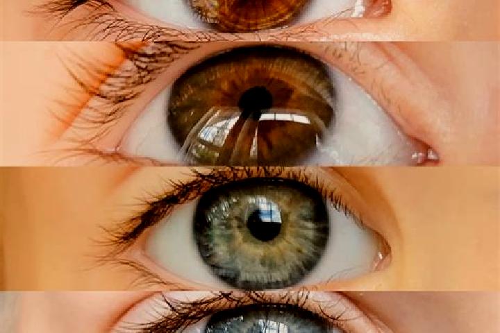 Sage, 31, a chestnut dark-eyed mixed companion based in Tirurageswaram. Offering Couples, 69, Overnight, Fetish. Available for incall and outcall, overnight ...