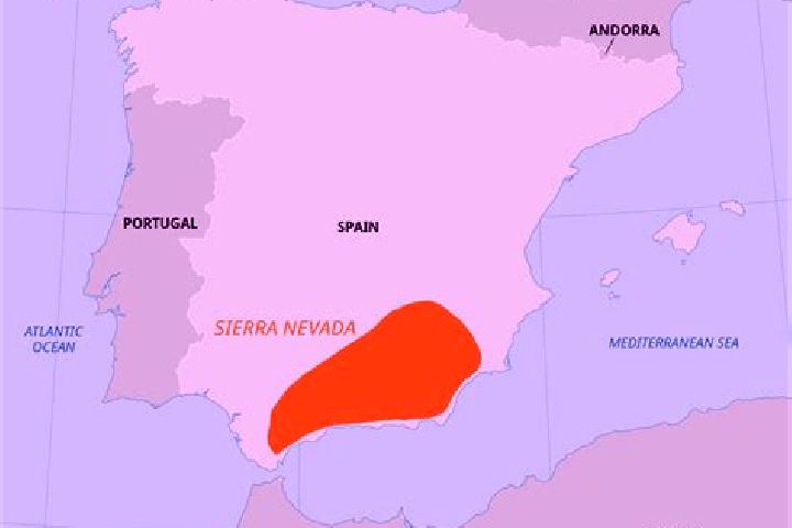 Sage, 31 — Escort in Covaleda, Spain
