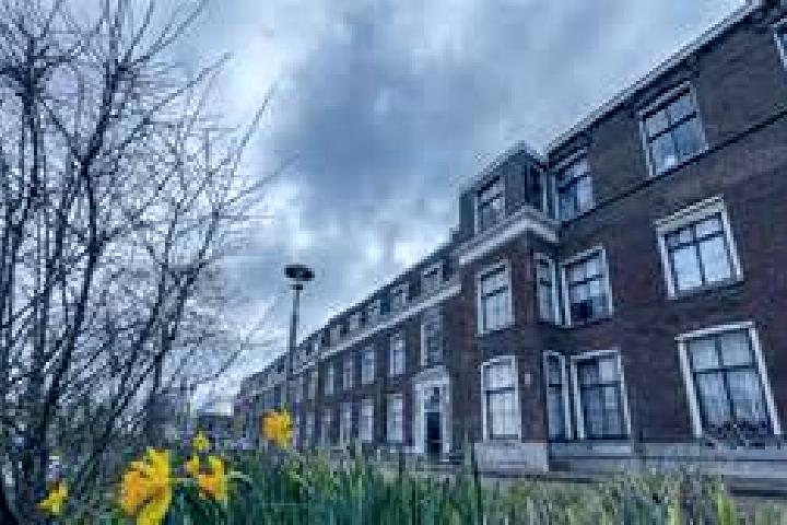 Sage, 31 — Escort in Katwijk aan den Rijn, Netherlands