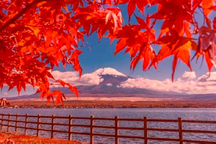 Sage, 31 — Escort in Kitasugama, Japan