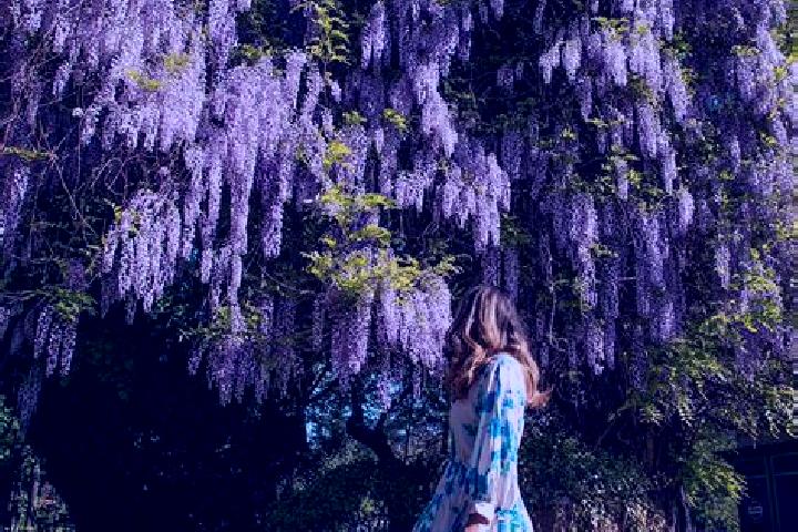 Sage, 31 — Escort in Schitu Scoicesti, Romania