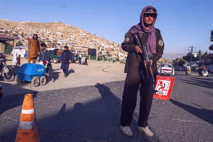 Sage, 31 — Escort in Wuluswali Alingar, Afghanistan