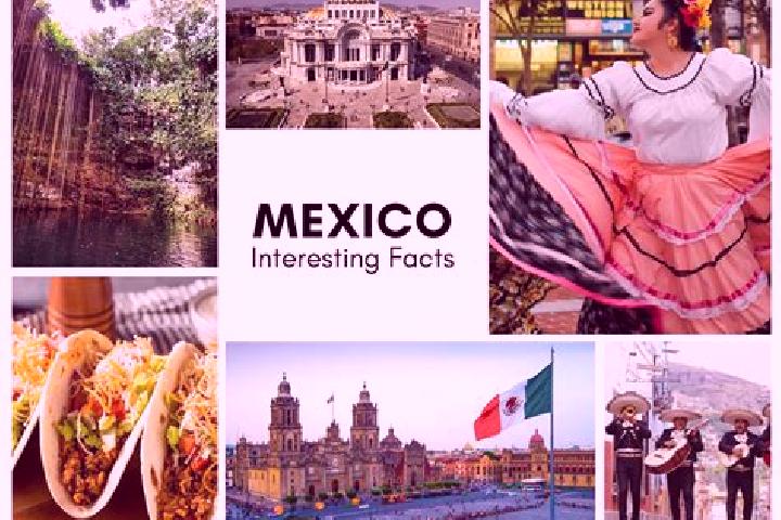 Sage, 31 — Escort in Zohuala, Mexico