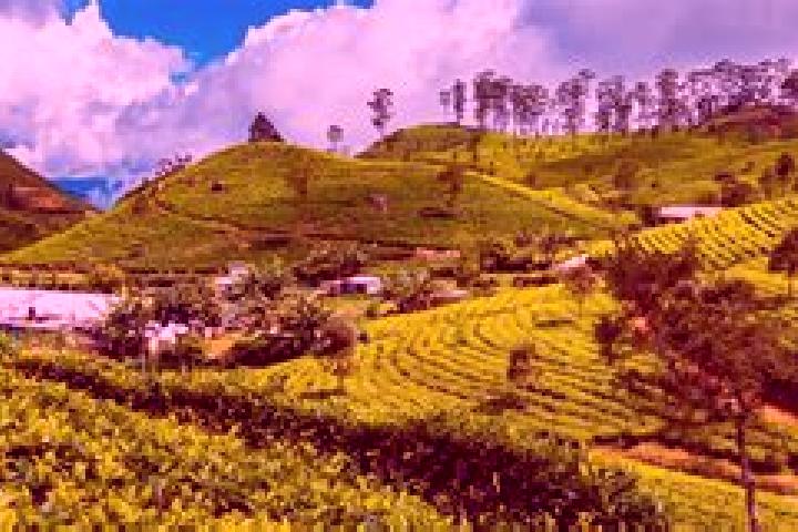 Sage, 32 — Escort in Haputale, Sri Lanka