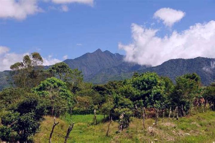 Sage, 32 — Escort in Hato Montana, Panama