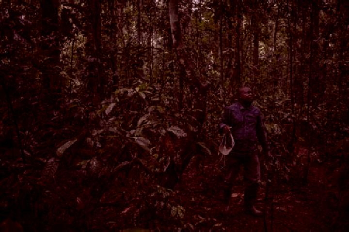 Sage, 32 — Escort in Yangambi, DR Congo
