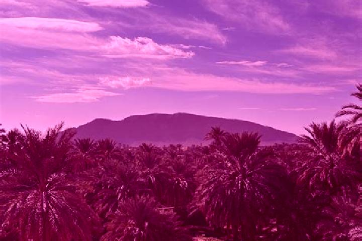 Sage, 33 — Escort in Figuig, Morocco