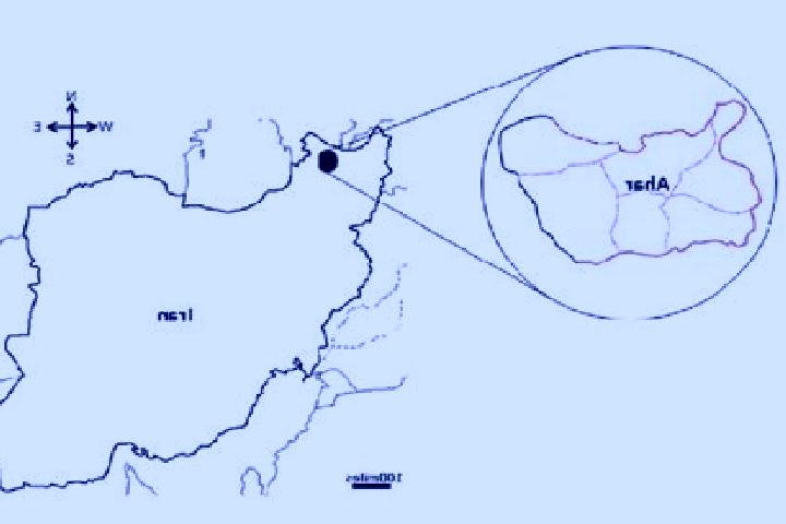 Sage, 34 — Escort in Ahar, Iran