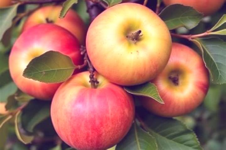 Sage, 34 — Escort in Apples, Switzerland