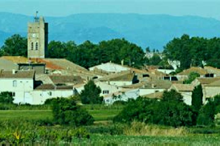 Sage, 34 — Escort in Pomerols, France