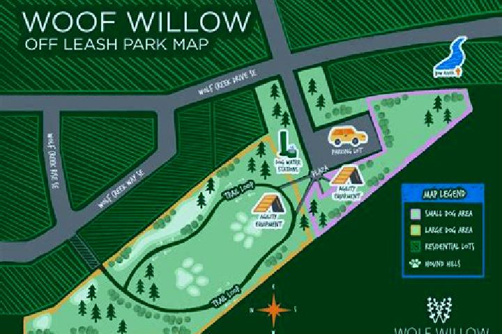Sage, 34 — Escort in Willow Park, United States