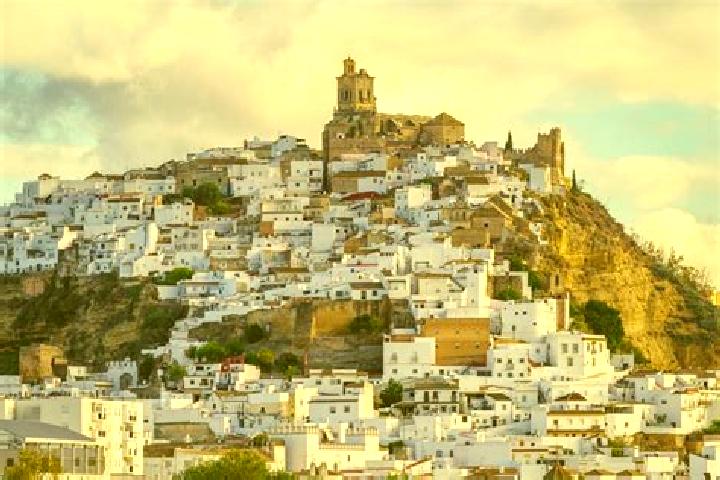Sage, 35 — Escort in Blancos, Spain