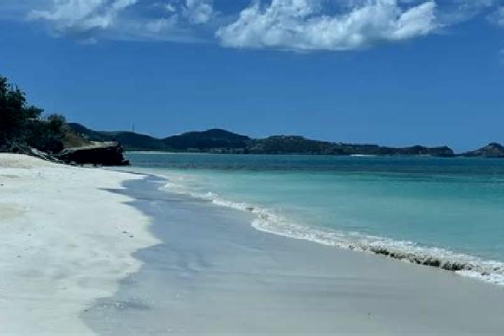Sage, 35 — Escort in Sugar Factory, Antigua and Barbuda