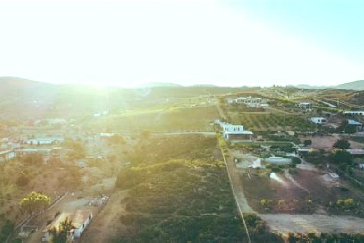 Sage, 35 — Escort in Villa Erendira, Mexico