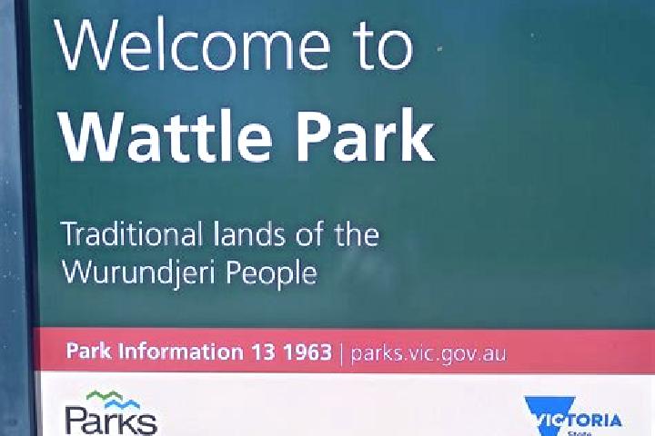 Sage, 35 — Escort in Wattle Park, Australia