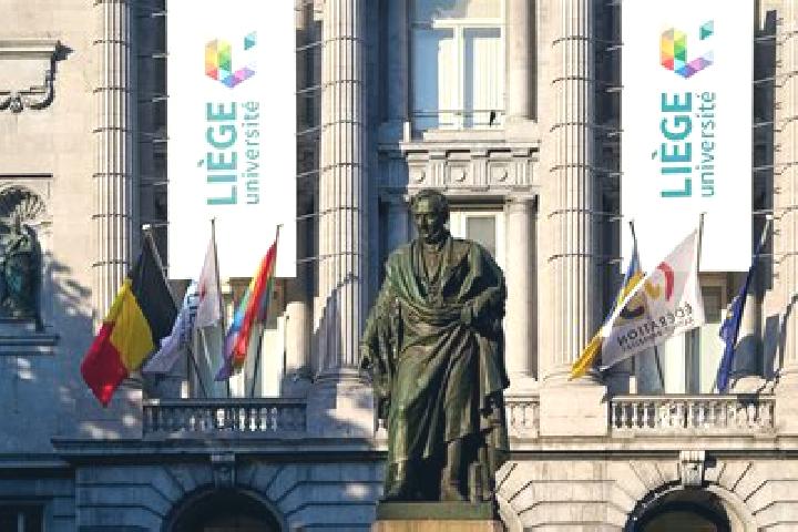 Sage, 36 — Escort in Engis, Belgium