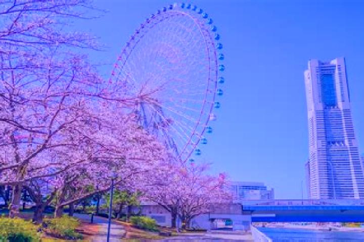 Sage, 36 — Escort in Minatomirai, Japan