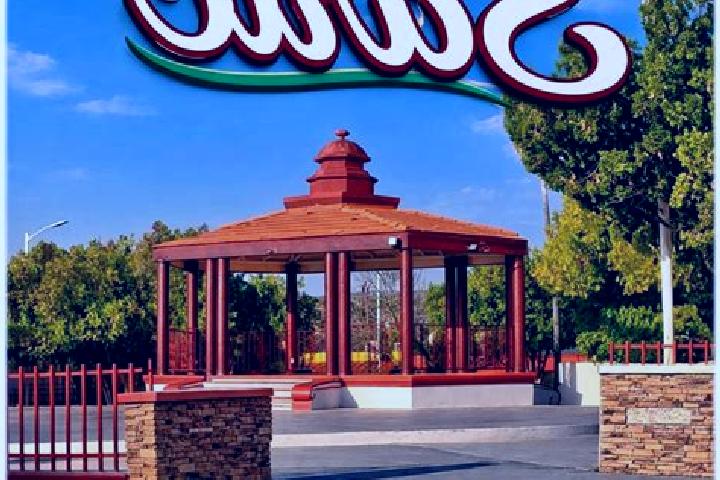 Sage, 36 — Escort in Saric, Mexico