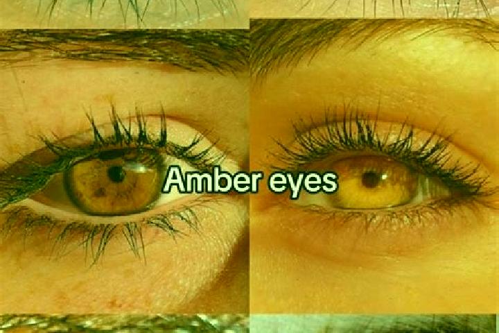 Sage, 37, a chestnut amber-eyed caucasian companion based in Rutvik. Offering A-Level, OWO, Dinner Date. Available for incall and outcall, overnight bookings...