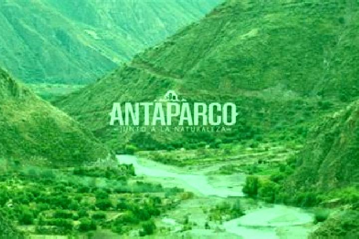 Sage, 37 — Escort in Antaparco, Peru