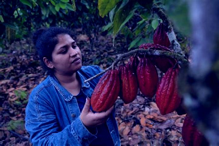Sage, 37 — Escort in Flor de Cacao, Mexico