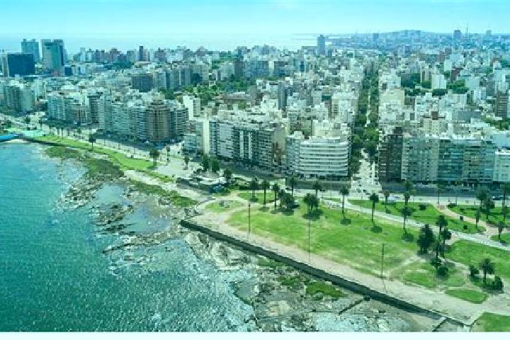 Sage, 37 — Escort in Montevideo, Uruguay