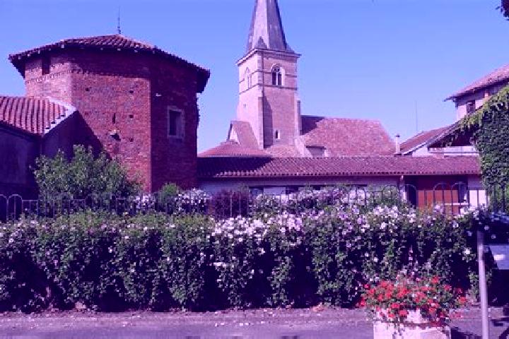 Sage, 37 — Escort in Saint-Trivier-de-Courtes, France