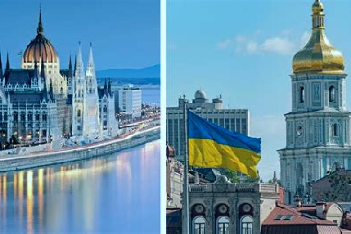 Sage, 37 — Escort in Stavchany, Ukraine