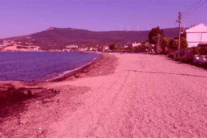 Sage, 38 — Escort in Gencelli, Turkey