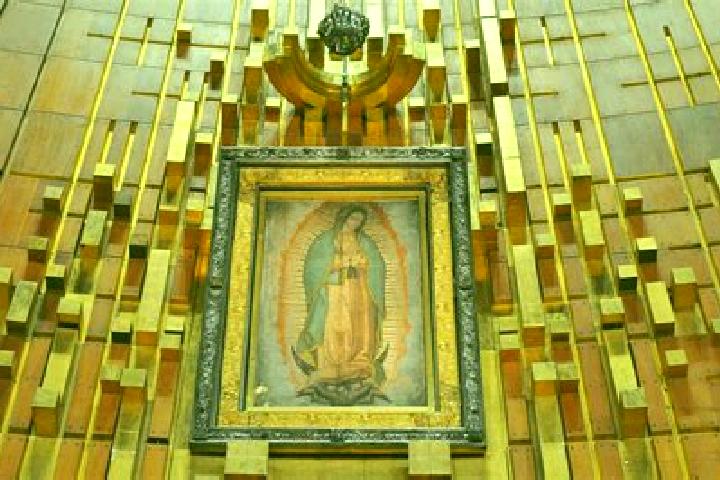 Sage, 38 — Escort in Guadalupe Villa Cardenas, Mexico