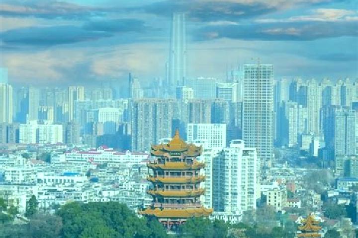 Sage, 38 — Escort in Zhongyuan, China