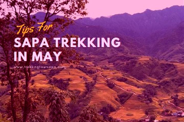 Sage, 39 — Escort in Sapa, Philippines