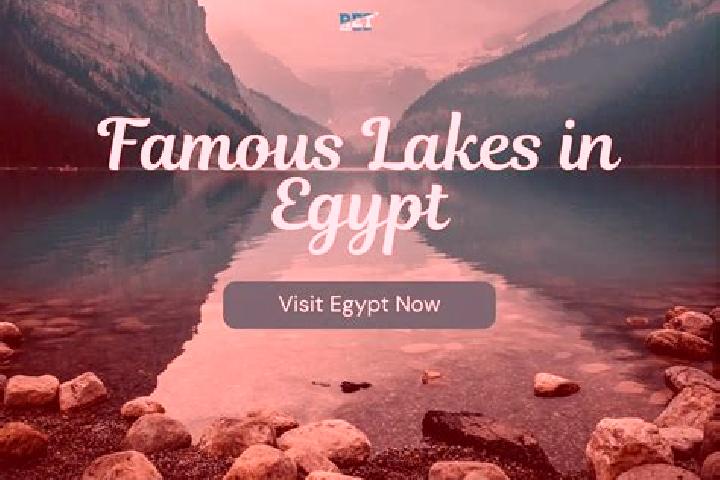 Scarlett, 20 — Escort in Abu Hummus, Egypt