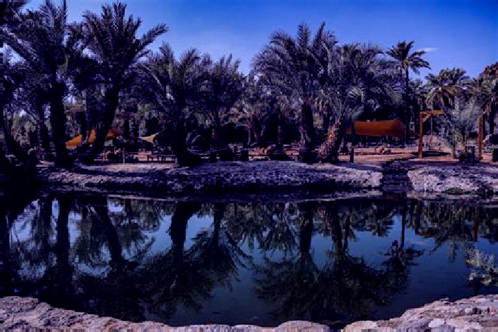 Scarlett, 20 — Escort in Al-Kharijah, Egypt