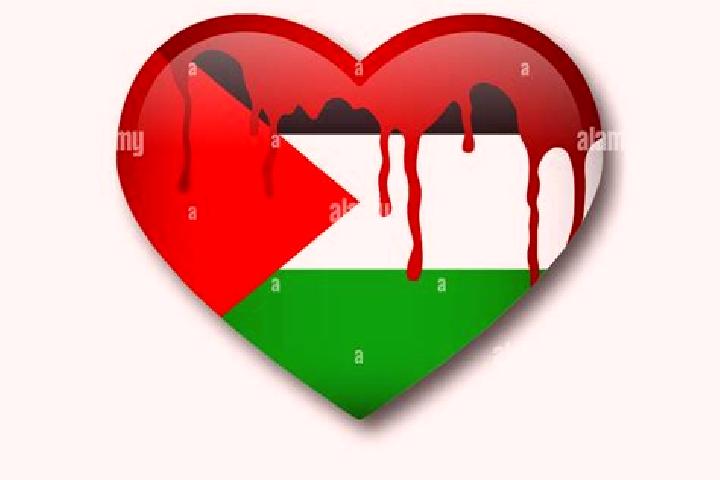Scarlett, 20 — Escort in Az Zaytuniyah, Palestine