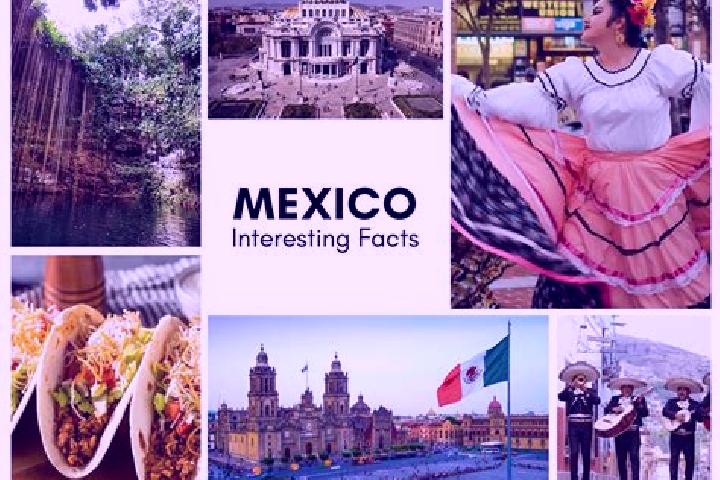 Scarlett, 20 — Escort in Canicab, Mexico