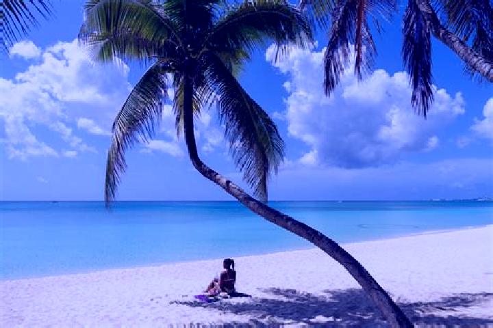 Scarlett, 20 — Escort in Seven Miles, Cayman Islands