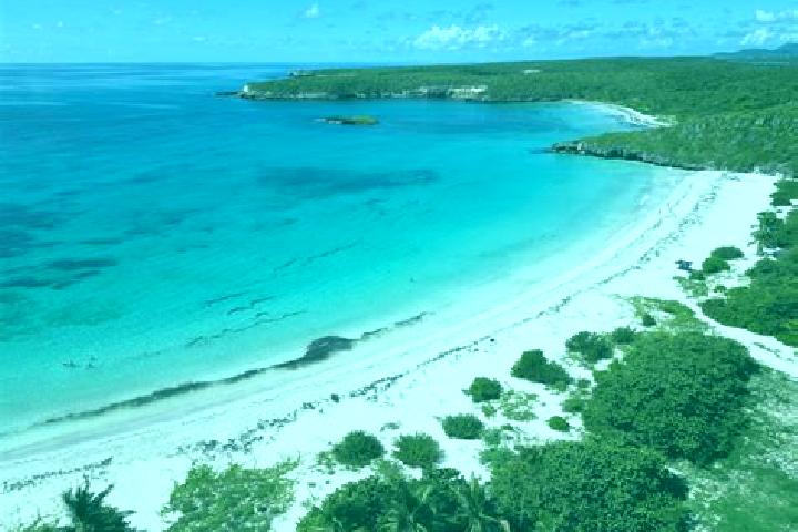 Scarlett, 20 — Escort in Vieques, Puerto Rico