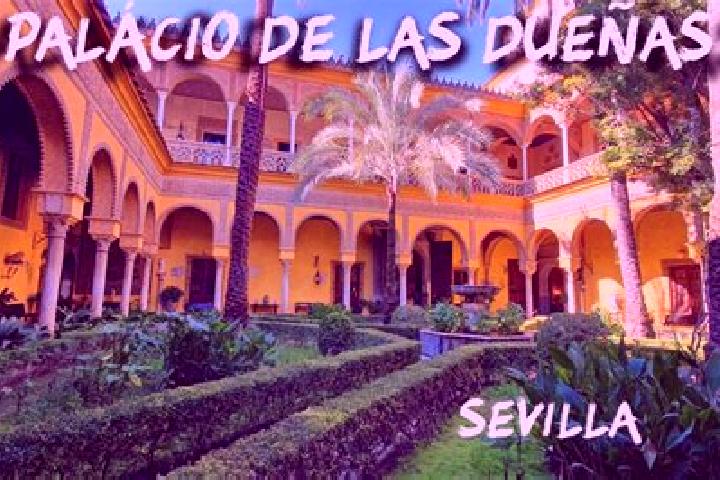 Scarlett, 21 — Escort in Campillo de Duenas, Spain