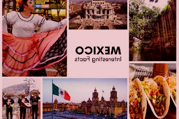 Scarlett, 21 — Escort in Coacoyulillo, Mexico