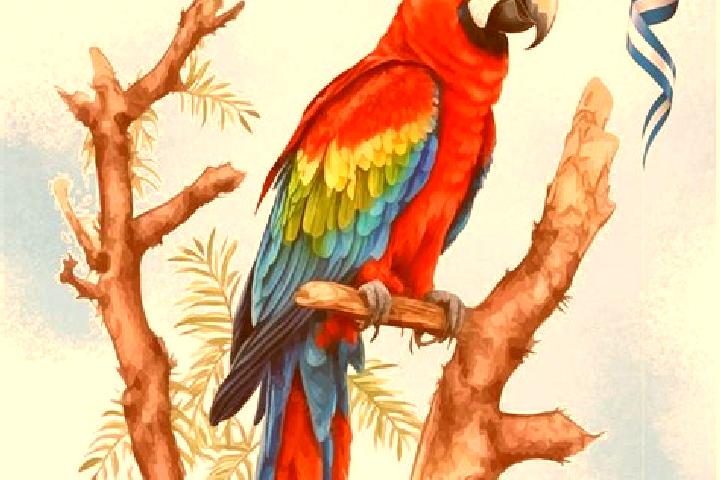 Scarlett, 21 — Escort in Guacamaya, Honduras