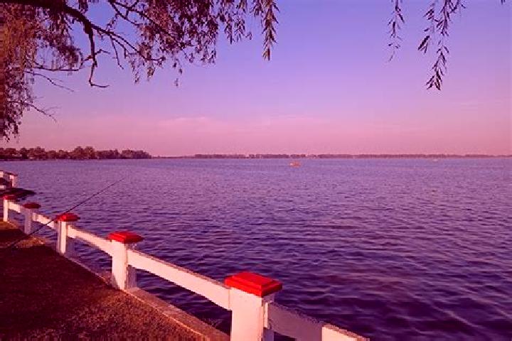 Scarlett, 21 — Escort in Laguna del Mante, Mexico