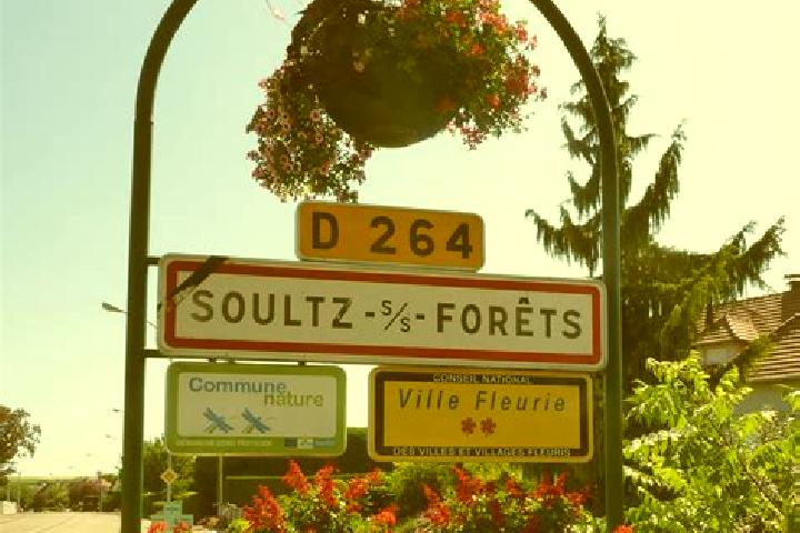 Scarlett, 21 — Escort in Soultz-sous-Forets, France