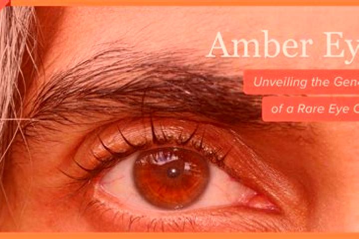 Scarlett, 22, a black amber-eyed indian companion based in Frolishchi. Offering Striptease, Massage, Prostate Massage. Available for incall and outcall, over...
